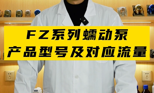 FZ系列蠕动泵产品型号及流量范围